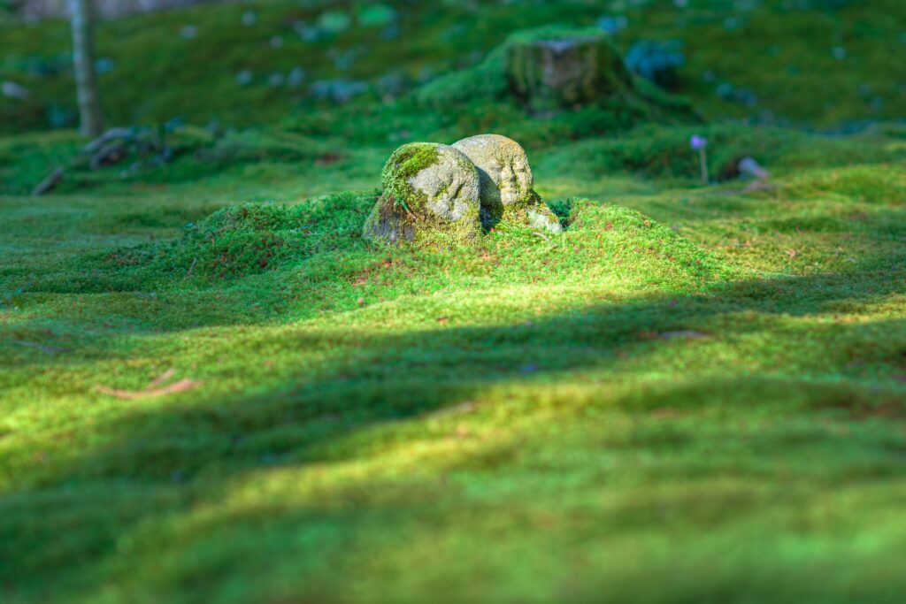 terreno de hierba rugoso con escultura piedra